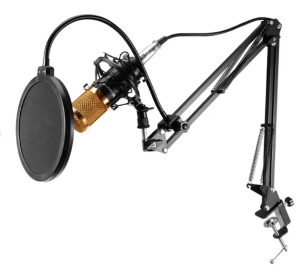 professional condenser microphone