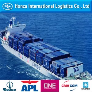 cargo freight forwarder