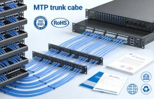MTP trunk cable